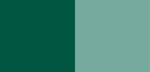 Schminke Horadam Gouache 15 ml - 528 cobalt green deep