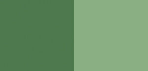 Schminke Horadam Gouache 15 ml - 530 chromium oxide green