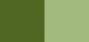 Schminke Horadam Gouache 15 ml - 532 olive green