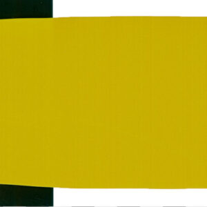 Schmincke PRIMAcryl 60 ml - 569 Yellow green